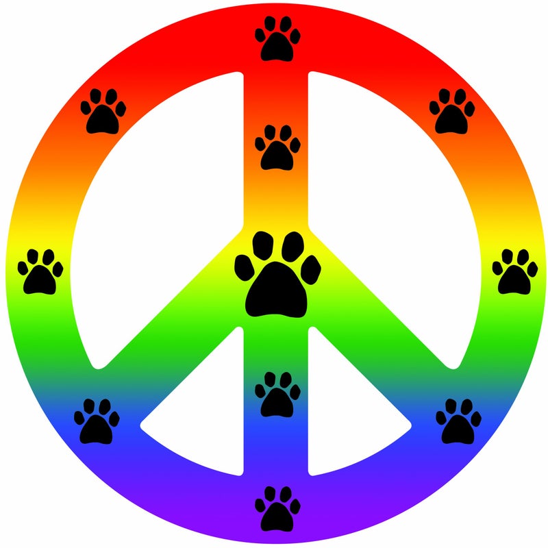 Imagine This Peace Car Magnet Sign, Rainbow, 41/2-Inch by 4-1/2-Inch